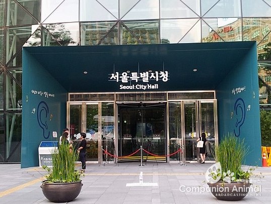 서울시, "청소년도 시민" 170만 청소년 첫 종합지원정책